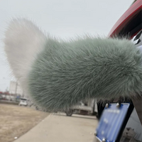 The Vroomtail