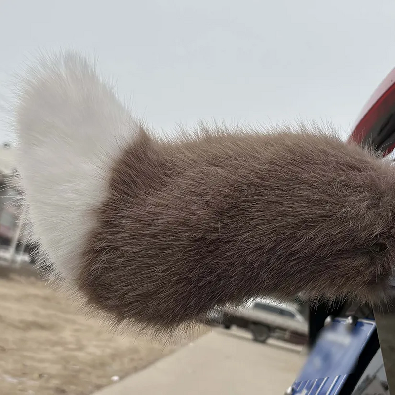 The Vroomtail