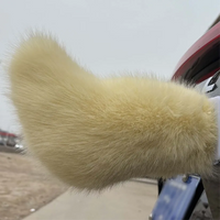 The Vroomtail