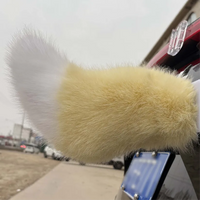 The Vroomtail